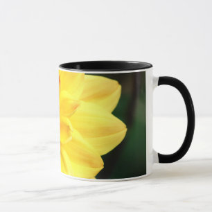 Yellow Dahlia Tasse