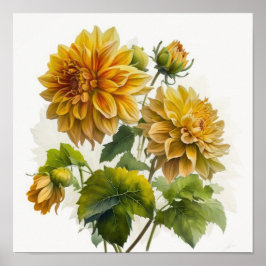 Yellow Dahlias Blume Art Print Poster