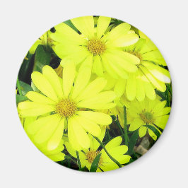 Yellow Daisies Magnet