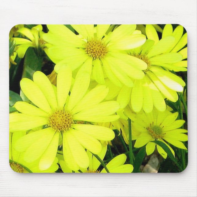 Yellow Daisies Mousepad (Vorne)