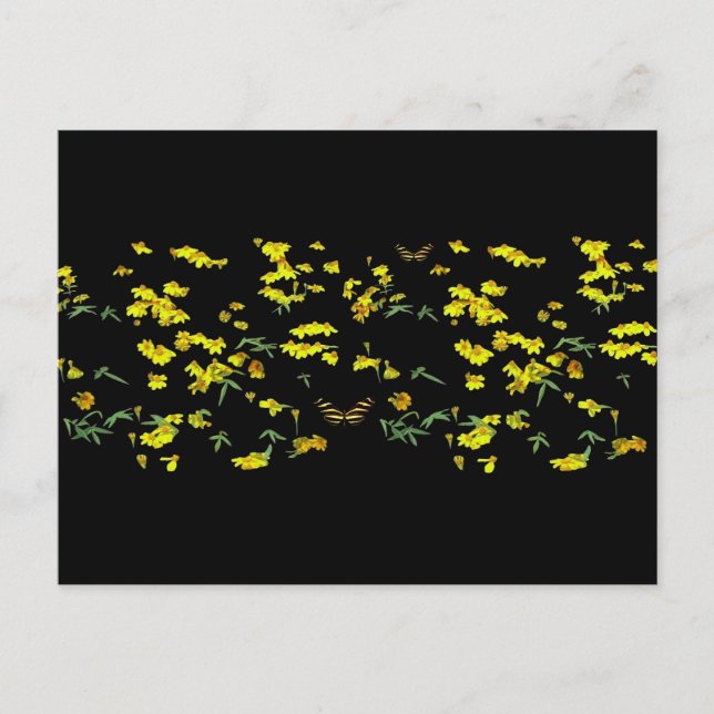 Yellow Daisies Postkarte (Vorderseite)