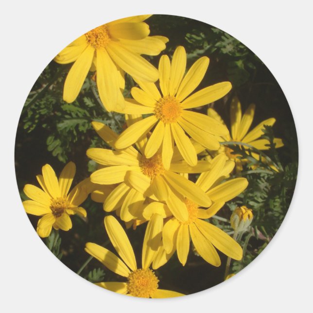 Yellow Daisies Runder Aufkleber (Vorderseite)