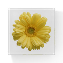 Yellow Daisy Blume Paperweight