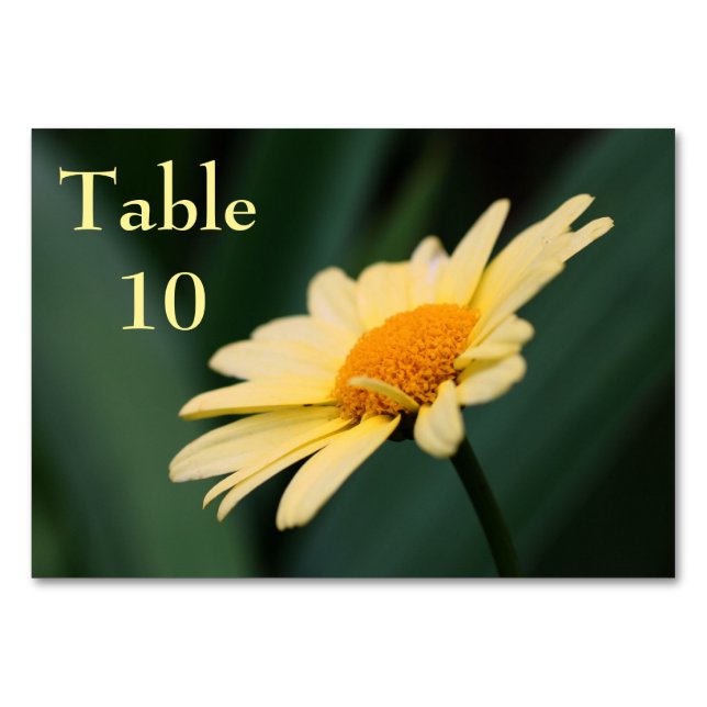 Yellow Daisy Blume Wedding Tischnummer (Vorderseite)