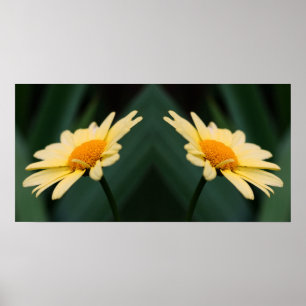 Yellow Daisy Blumen Mirror Abstrakt Poster