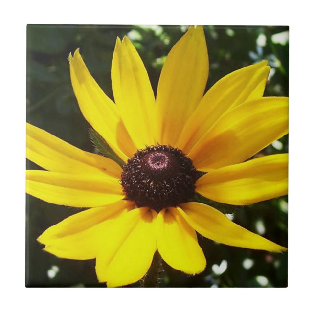 Yellow Daisy Fliese (Vorderseite)