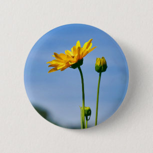 Yellow Daisy Helenium Abzeichen Button