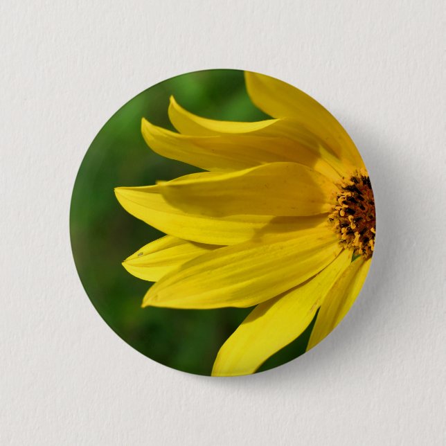 Yellow Daisy Helenium Abzeichen Button (Vorderseite)