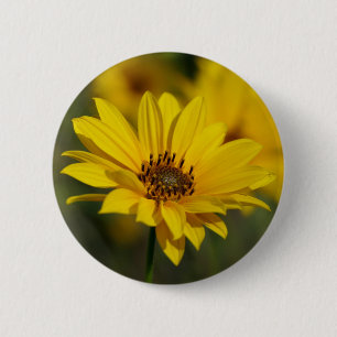 Yellow Daisy Helenium Abzeichen Button