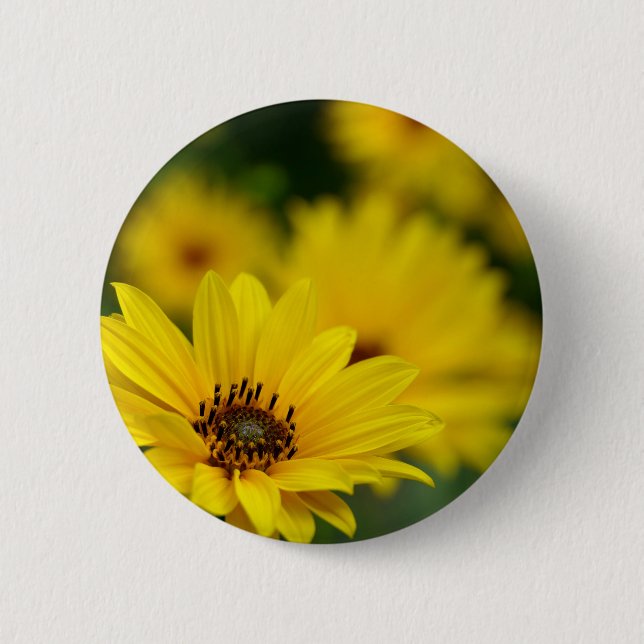Yellow Daisy Helenium Abzeichen Button (Vorderseite)