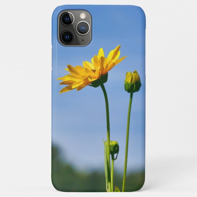 Yellow Daisy Helenium Case-Mate iPhone Hülle (Rückseite)