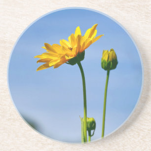 Yellow Daisy Helenium Getränkeuntersetzer