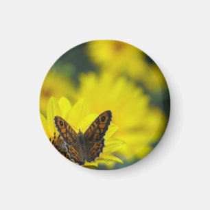 Yellow Daisy Helenium Magnet