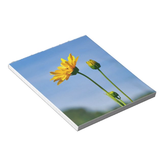 Yellow Daisy Helenium Notizblock (angewinkelt)