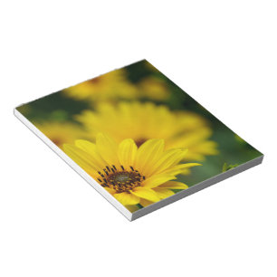 Yellow Daisy Helenium Notizblock