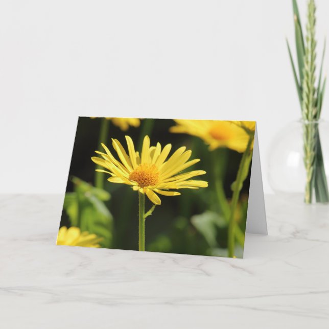 Yellow Daisy Karte (Vorderseite)