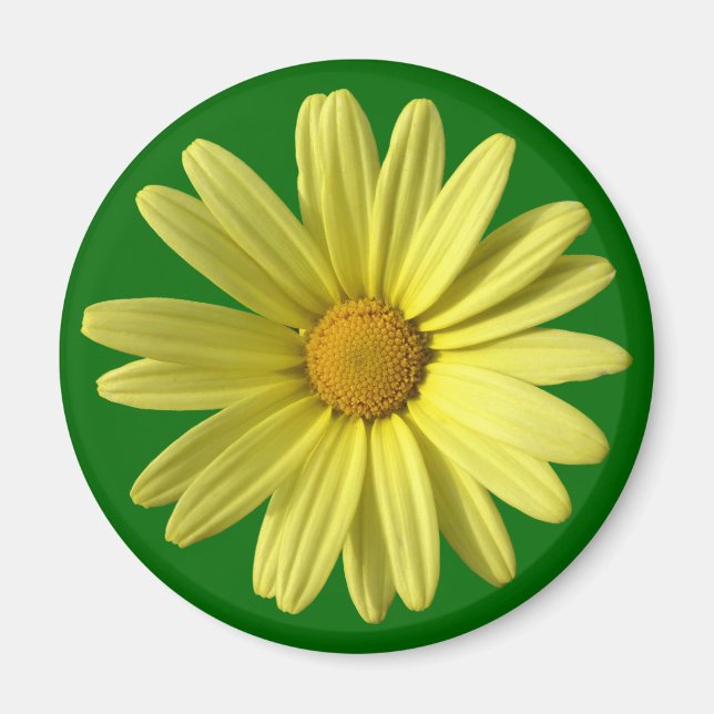 Yellow Daisy Magnet (Vorne)