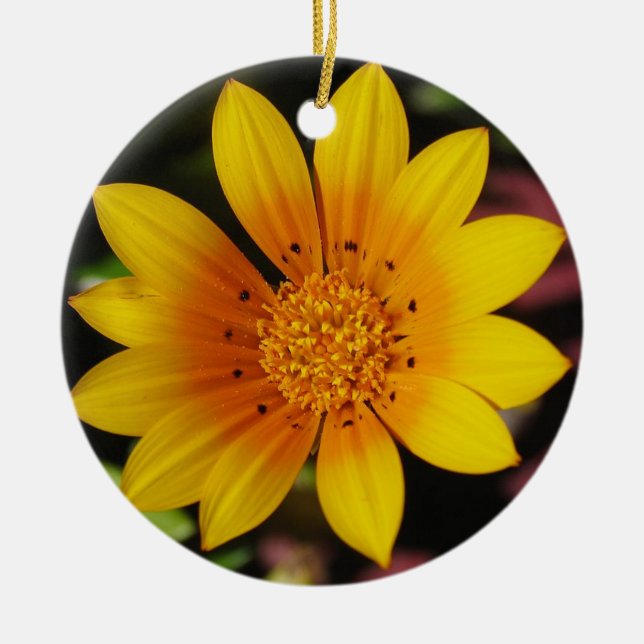 Yellow Daisy Ornament (Vorne)