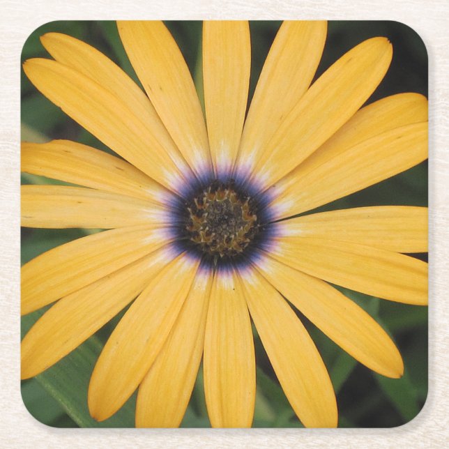 Yellow Daisy Party Untersetzer (Vorderseite)