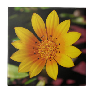Yellow Daisy Tile Fliese