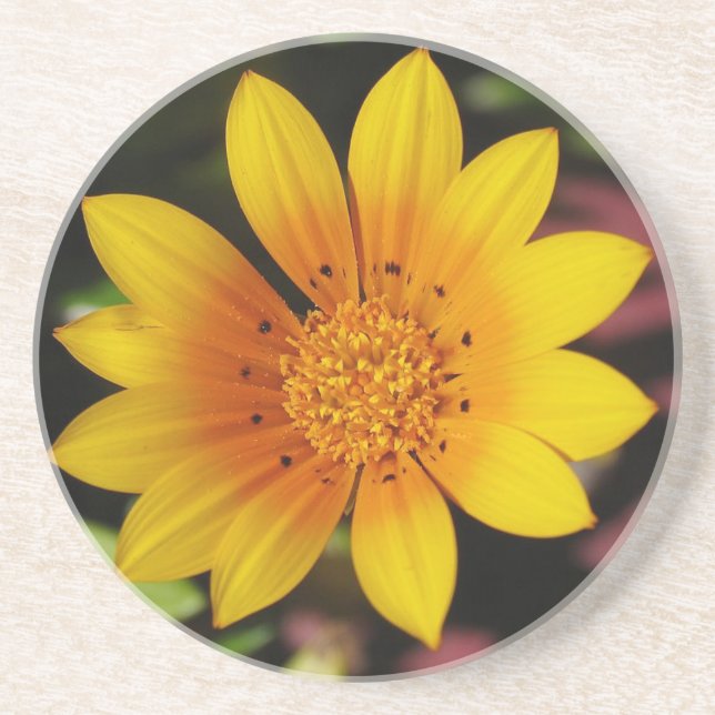 Yellow Daisy Untersetzer (Vorne)