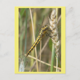 Yellow Dragonfly Nah Up DIY Postkarte