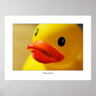 Yellow Ducky Poster