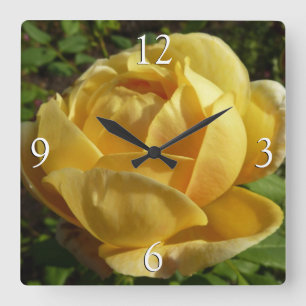 Yellow English Rose Quadratische Wanduhr