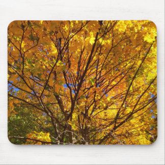 Yellow Fall Foliage Mousepad