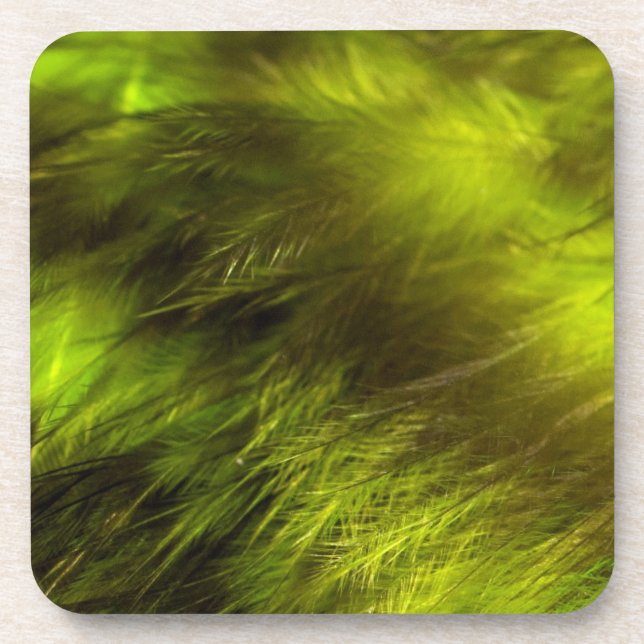 Yellow Feathers Getränkeuntersetzer (Vorderseite)