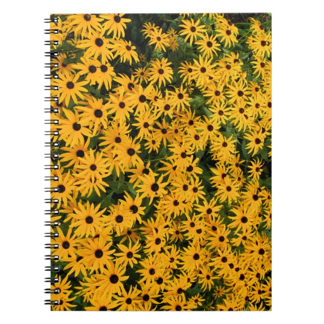 Yellow Field of Daisies Notebook Notizblock (Vorderseite)