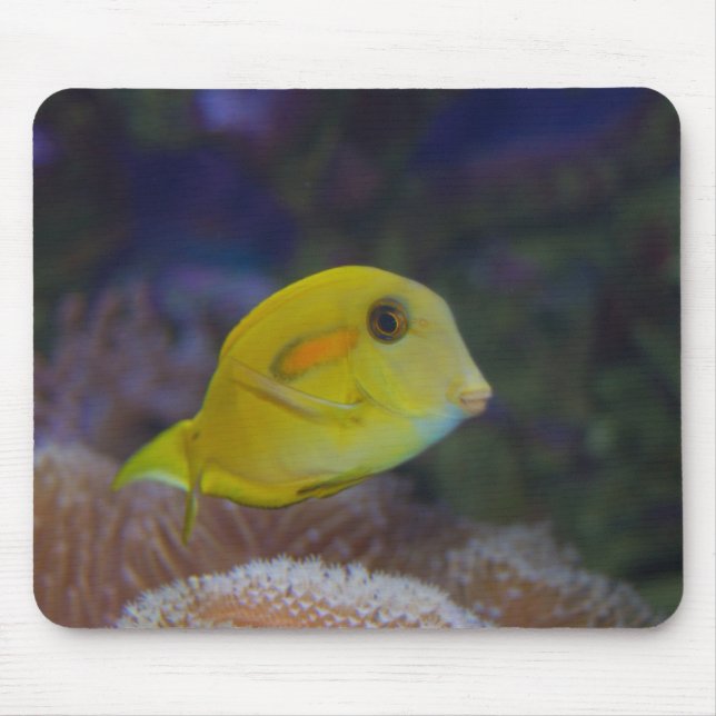 Yellow Fishy Mousepad (Vorne)