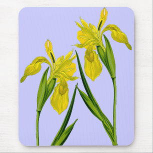 Yellow Flag Iris Twins Mousepad