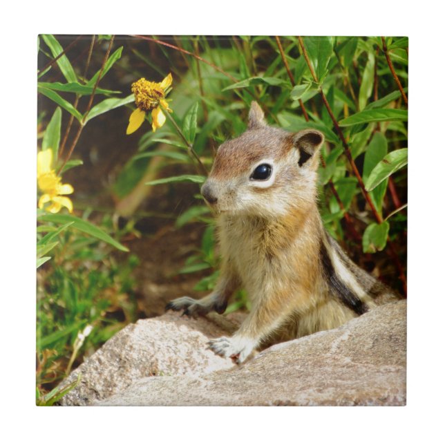 Yellow Flowers Chipmunk Fliese (Vorderseite)