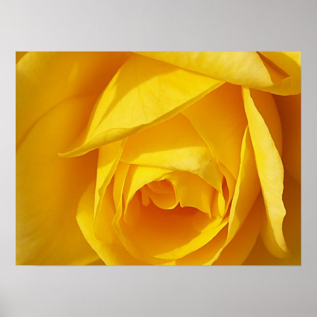 Yellow Folds Poster (Vorne)