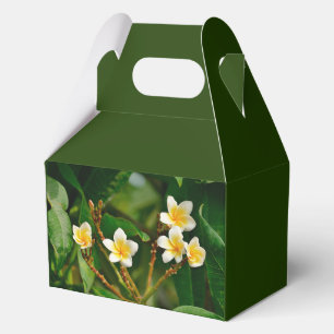 Yellow Frangipani Geschenkschachtel
