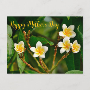 Yellow Frangipani Postkarte