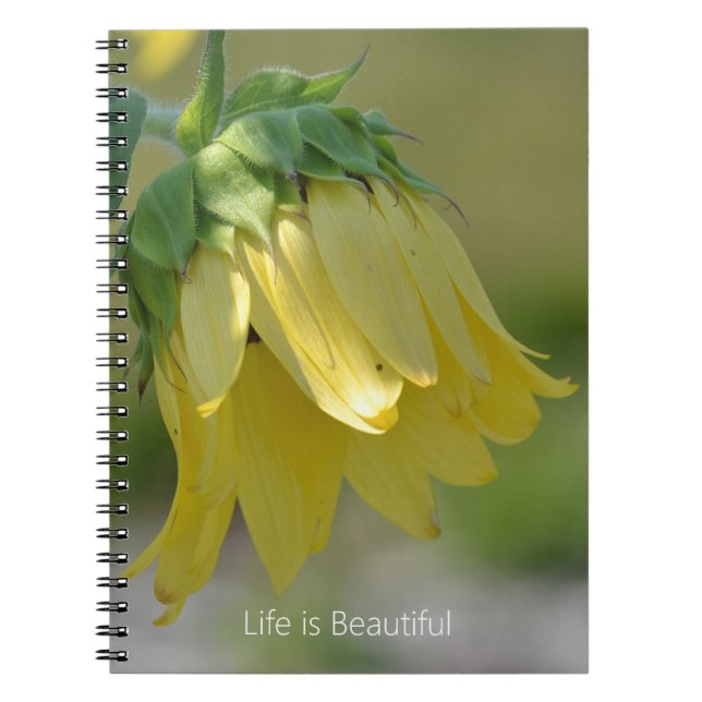 Yellow Garden Sunflower (my photography) Notizblock (Vorderseite)