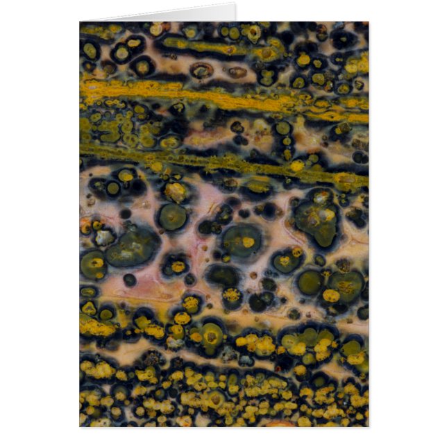 Yellow gepunktet Ocean Jasper (Vorne)