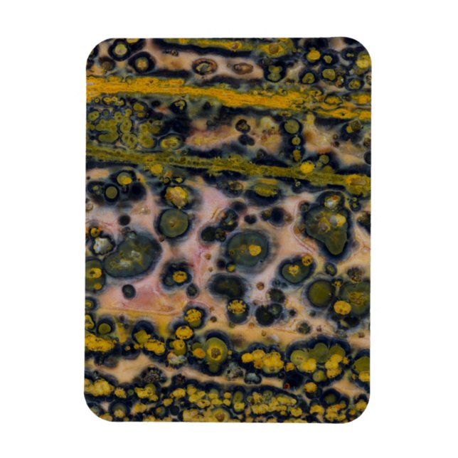Yellow gepunktet Ocean Jasper Magnet (Vertikal)