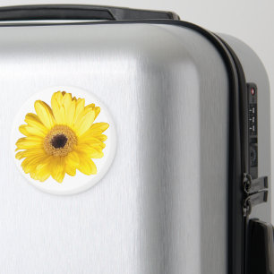 Yellow Gerber Daisy Blume Nah-Up Fotograf Magnet