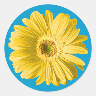Yellow Gerbera Daisy Blume Runder Aufkleber