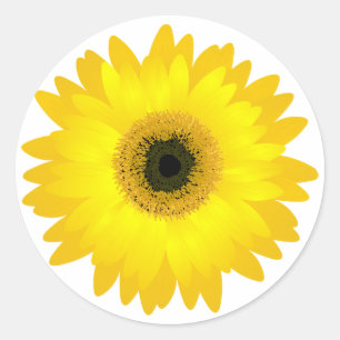Yellow Gerbera Daisy Runder Aufkleber