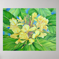 Yellow Ginger Watercolor