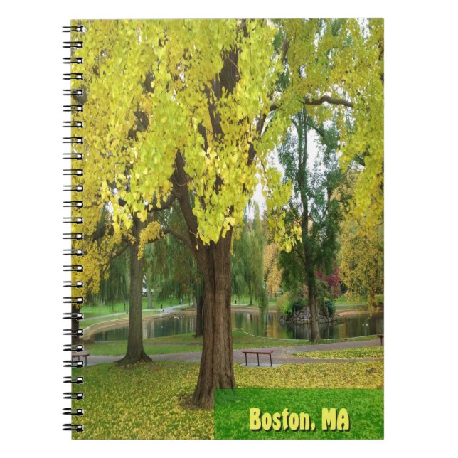 Yellow Gingko Tree - Boston Public Garden Notizblock (Vorderseite)