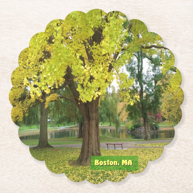 Yellow Gingko Tree Untersetzer (Vorderseite)