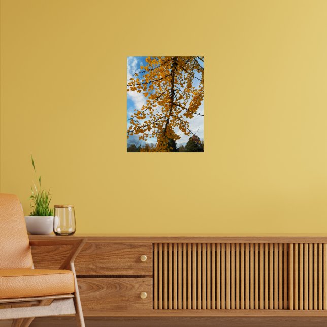 Yellow Ginkgo Blätter Fotografisch Poster (Wohnzimmer 2)