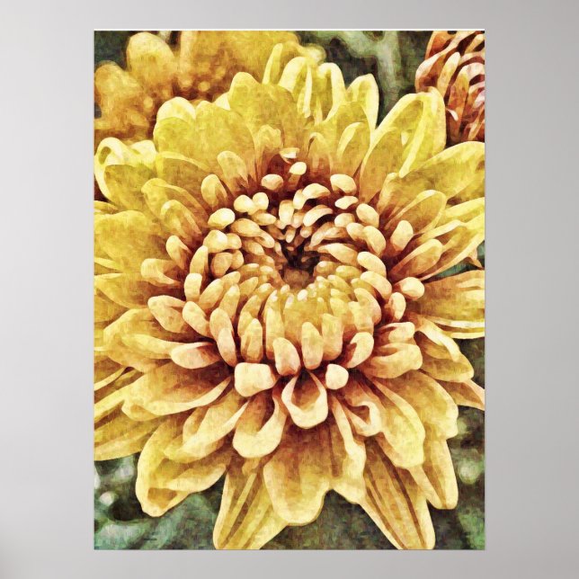 Yellow Gold Mum Blume Fotokunst Print Poster (Vorne)