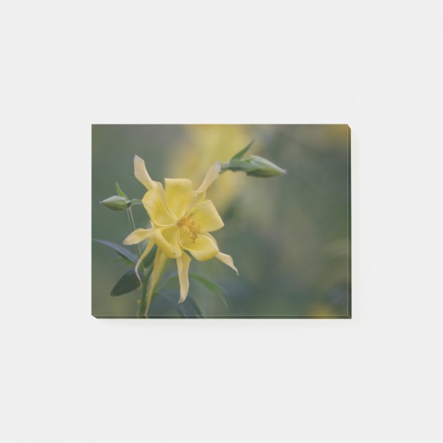 Yellow Good Post-it Klebezettel (Vorderseite)