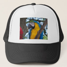 Yellow green and blue tropical Macaw Truckerkappe